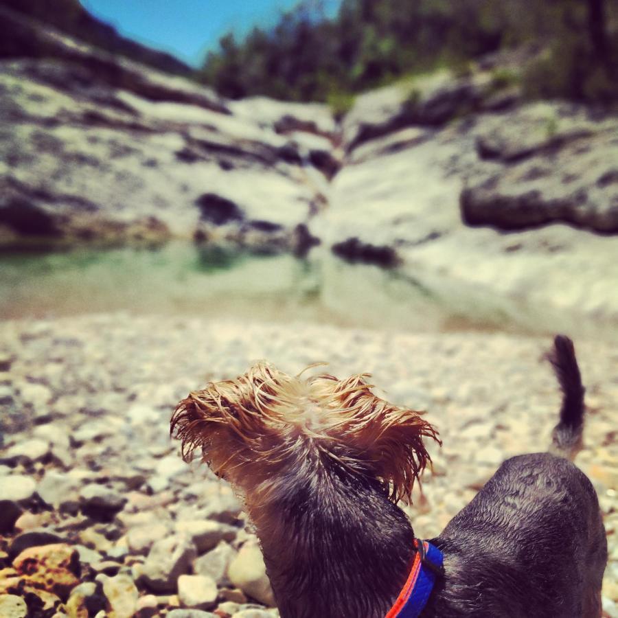 Сasa de vacaciones Les Valletes Arnes